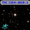 TYC 2184-1019-1
