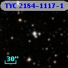 TYC 2184-1117-1