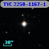 TYC 2250-1167-1