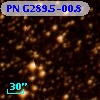 PN G289.5-00.8