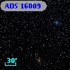 ADS 16009