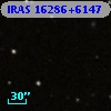 IRAS 16286+6147