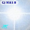 GJ  9561 B