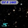 SV* P  5447