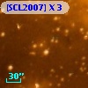 [SCL2007] X  3