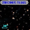[TBS2007] T1165