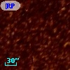 [RP2006] J052616-693800