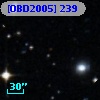 [OBD2005] 239