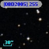 [OBD2005] 255