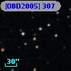 [OBD2005] 307