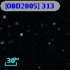 [OBD2005] 313