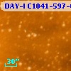 DAY-I C1041-597-00674