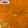 2MASS J10431523-6004325