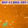 DAY-I C1041-597-03376