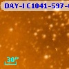 DAY-I C1041-597-04527