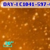 DAY-I C1041-597-04591