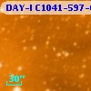 DAY-I C1041-597-04705
