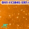 DAY-I C1041-597-04829
