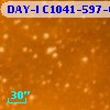 DAY-I C1041-597-05214