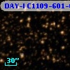 DAY-I C1109-601-00213