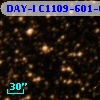 DAY-I C1109-601-06655