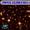 2MASS J12061161-6114330