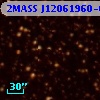 2MASS J12061960-6120439