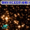 DAY-I C1227-645-04905
