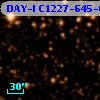 DAY-I C1227-645-05203