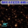 DAY-I C1227-645-09199