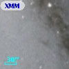 XMMM31 J004153.2+410942