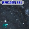 [PFH2005] 391