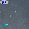 [PFH2005] 485