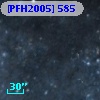 [PFH2005] 585