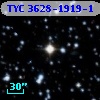 TYC 3628-1919-1