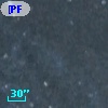 [PFH2005] 599