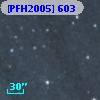 [PFH2005] 603