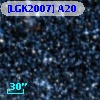 [LGK2007] A20