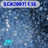 [LGK2007] C16
