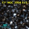 Cl* NGC 2004    ELS      24