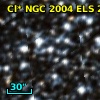 Cl* NGC 2004    ELS      29