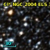 Cl* NGC 2004    ELS      31