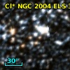 Cl* NGC 2004    ELS      39