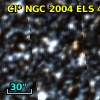 Cl* NGC 2004    ELS      43