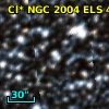 Cl* NGC 2004    ELS      45