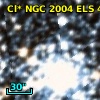 Cl* NGC 2004    ELS      46