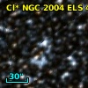 Cl* NGC 2004    ELS      48