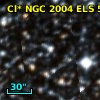 Cl* NGC 2004    ELS      55