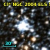 Cl* NGC 2004    ELS      56