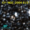 Cl* NGC 2004    ELS      58